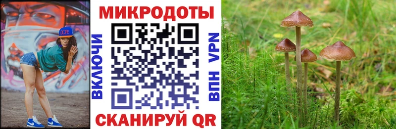 Галлюциногенные грибы MAGIC MUSHROOMS  Грайворон 